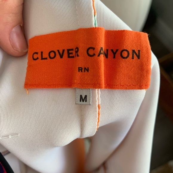 Clover Canyon body on dress - Picture 4 of 9